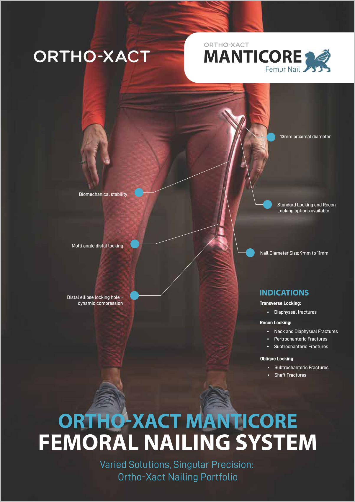 Manticore Product Image